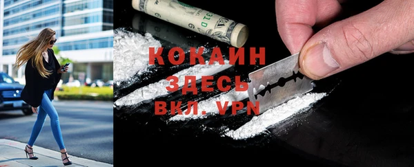 дмт Магас