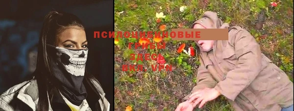 индика Магадан