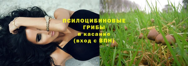 дмт Магас