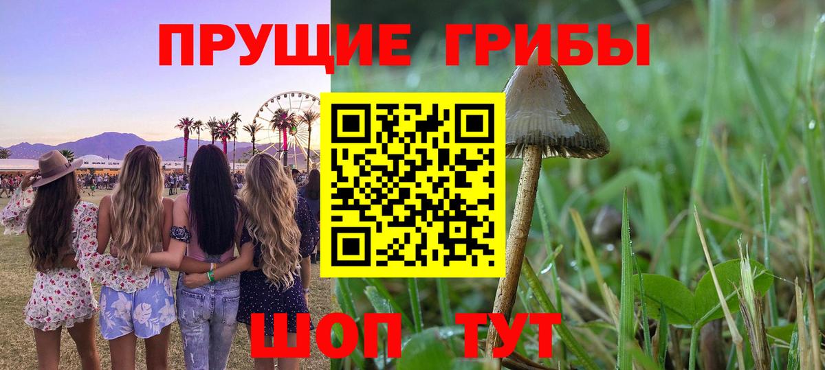 Псилоцибиновые грибы прущие грибы  Вход с VPN  наркотики  Раменское 