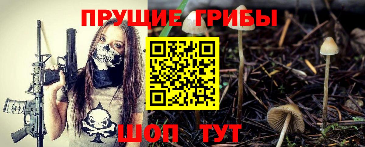 Галлюциногенные грибы Psilocybe Раменское
